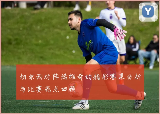 切尔西对阵诺维奇的精彩赛果分析与比赛亮点回顾